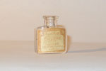 Photo © Les-parfums.info le site Violet - Chypre - Parfum Photo © Les-parfums.info le site Violet - Chypre - Parfum