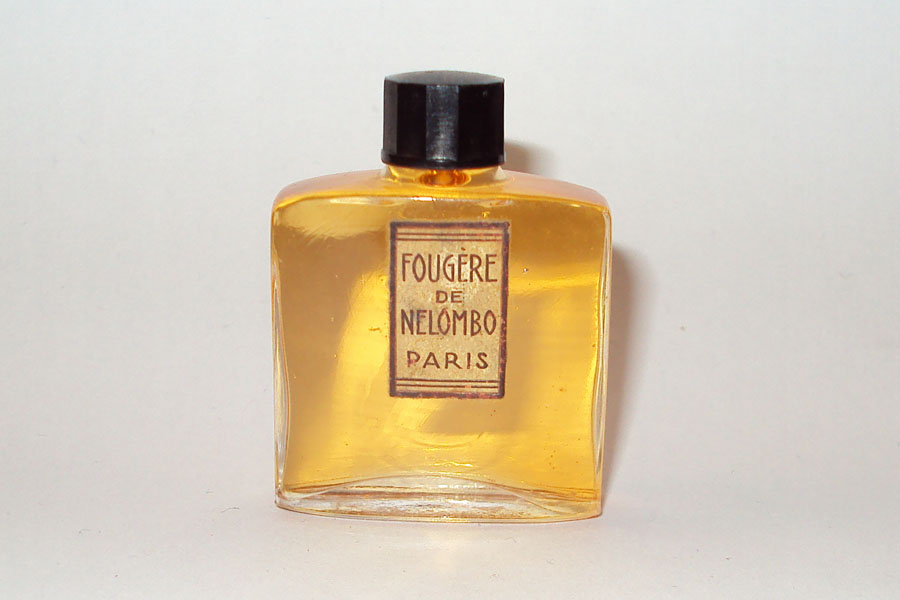 Miniature Fougère de Nelombo Hauteur 4.3 cm 